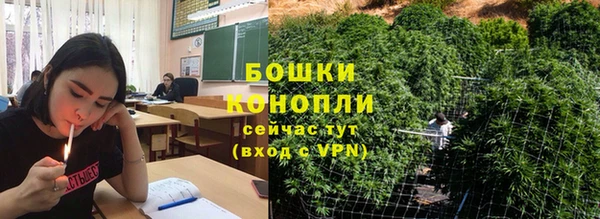 прущий лед Козловка