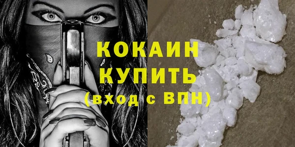 дмт Кодинск