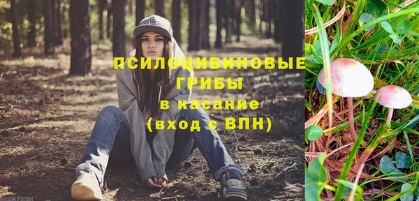 марки lsd Козельск