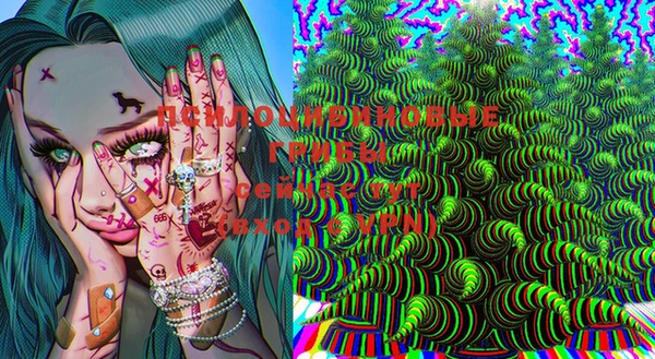 марки lsd Козельск