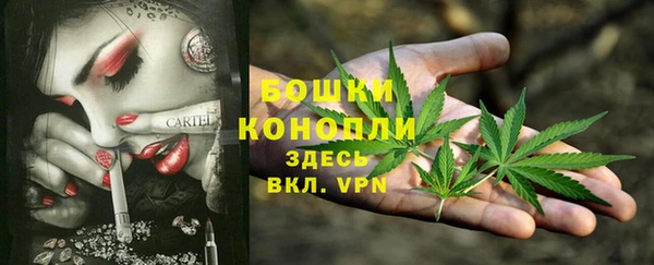 дмт Кодинск