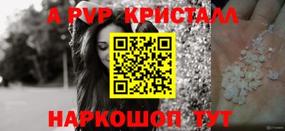 герыч Кингисепп