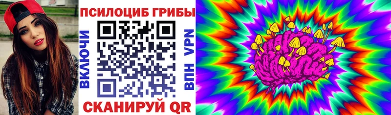 Псилоцибиновые грибы прущие грибы  где купить наркотик  omg зеркало  Конаково 