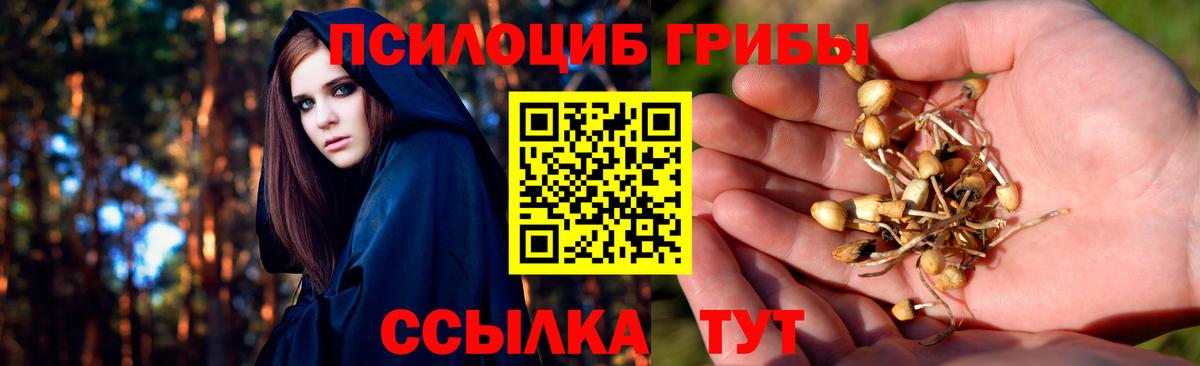 Галлюциногенные грибы Psilocybine cubensis  Галлюциногенные грибы мицелий  Вход с VPN  Конаково 